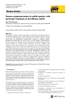 2005-null.pdf